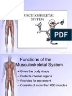 musculo-skeletal