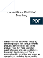 homeostasis breathing