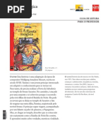 257 Guia de Leitura a Flauta Magica