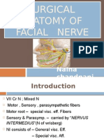 Surgical Anatomy of Facial Nerve