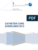 Catheter Care Guidelines PDF