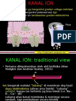 2 Kanal Ion