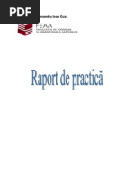 Raport Practica Management - Marketing