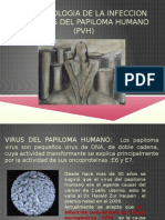 Fisiopatologia Infeccion Por VPH