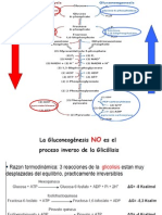 Bioquímica - Glicolisis y Gluconeogenesis