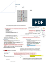 Biología Molecular