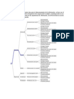 Objetivo de La Taxonomía La Idea de