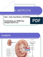 Riview Sindrom-nefrotik Ppt