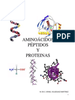 Aminoacidos Peaminoacidos-peptidos-y-proteinasptidos y Proteinas Espectacular
