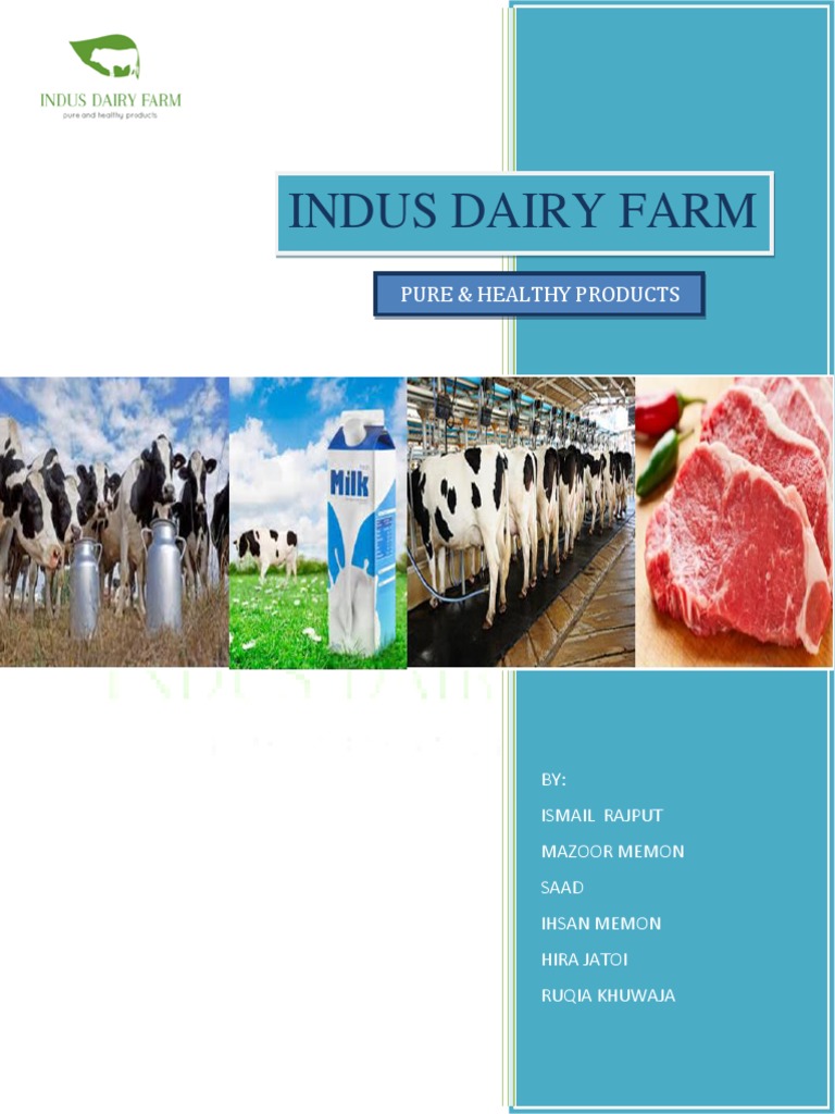 Business Plan INDUS Dairy Farm Dairy Dairy Farming