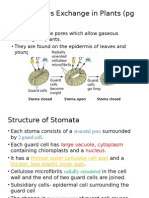 Bio Sem2 7.3 Stomata Slide Show