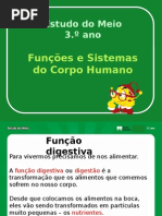 Estudo Meio 3 Corpo Humano