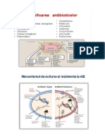 antibiotice