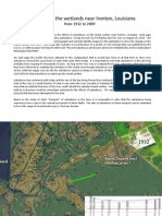 Subsidence and Wetlands Loss Near Ironton, Louisiana