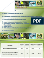 Informe de Gestion Cardique 2013