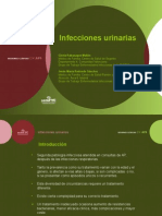 Presentacion Infecciones Urinarias