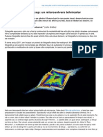 Blog.f64.Ro-Fotografia La Microscop Un Microunivers Tehnicolor