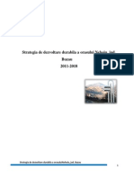 Strategia de Dezvoltare Durabila a Orasului Nehoiu in Perioada 2011 2018