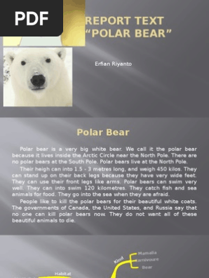 Ppt about polar bear