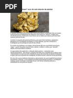 Cientistas Ouro e Plantas