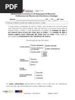 Ficha de Trabalho 3 Estudo Dos Órgãos Da Videira Caules