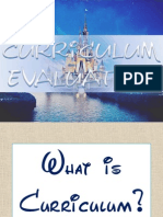 What is Curriculum Evaluation