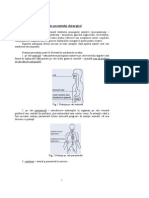 Nutritia Pacientului Chirurgical