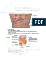 Anatomi Dan Histologi Liver JM Sip