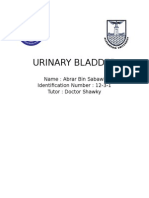 Urinary Bladder