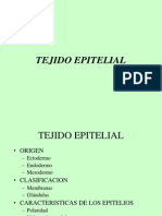 Tejido epitelial