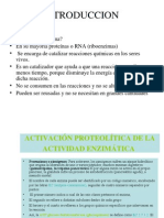 Enzimas. ppt