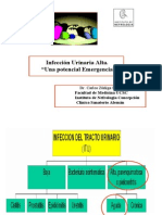 Itu Alta Una Potencial Emergencia PDF