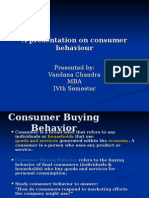 A Presentation On Consumer Behaviour