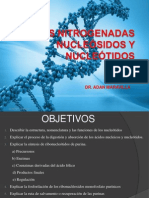 Bases Nitrogenadas. Nucleotidos de Purina