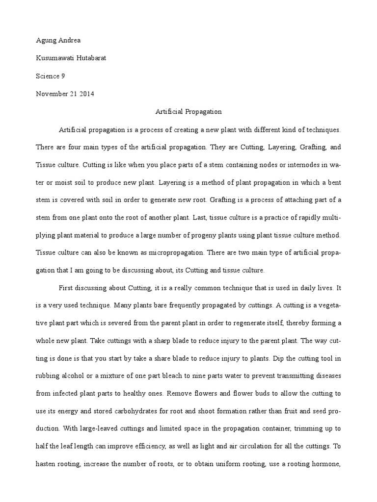 Root growth hormone picture