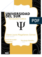 Universidad Del Sur