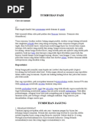 Download Tumbuhan Padi by eric_antona_cool SN25365490 doc pdf