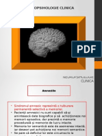 Neuropsihologie Clinica Curs 11