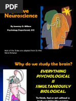 2 Cognitive Neuroscience - Modified