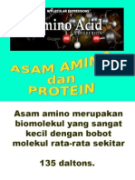 Amino Acid & Protein