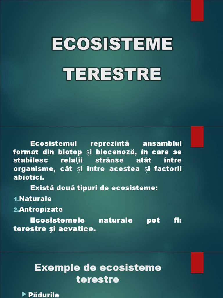 Ecosisteme terestre