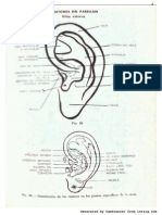 Anatomia Del Pabellon