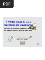 A Minha Viagem Cavaleiro Dinamarca