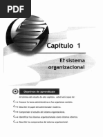 Sistema Organizacional