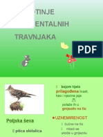 Zivotinje Kontinentalnih Travnjaka 