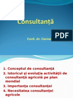 curs consultanta