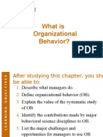 What Is Organizational Behavior?