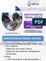 Insuficiencia Renal Aguda