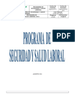 Programa de Seguridad 2011