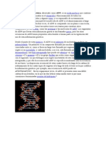 El Ácido Desoxirribonucleico